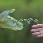 Respect environnement CO2