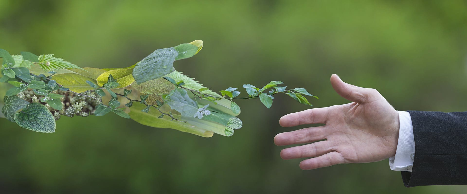 Le Respect De L Environnement Ce N Est Pas Que Le Co2