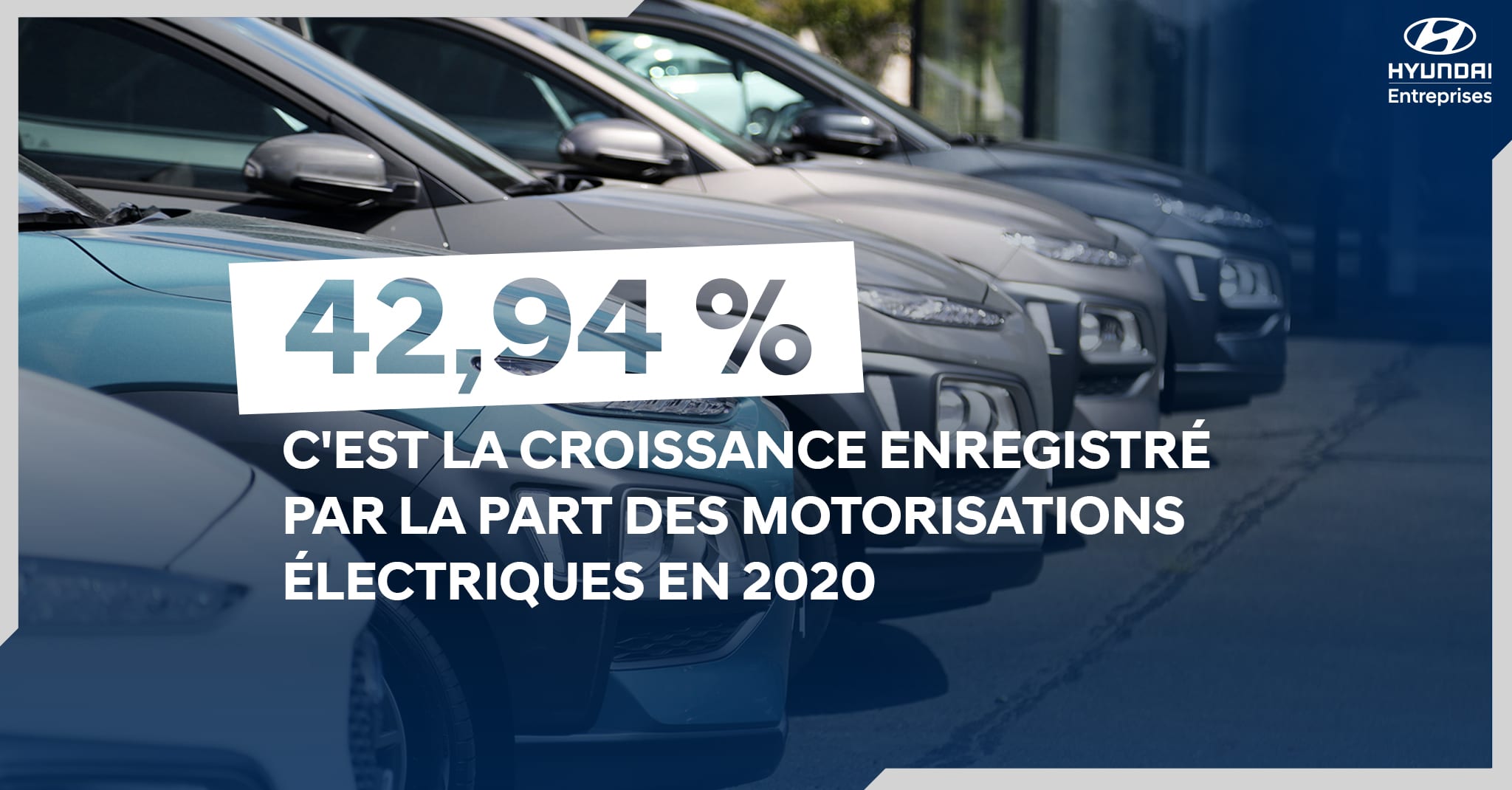 verdir sa flotte chiffre-clé